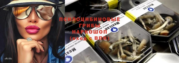 хмурый Вяземский