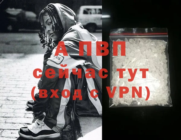 крисы Вязьма
