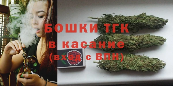 хмурый Вяземский