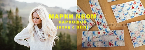 крисы Вязьма