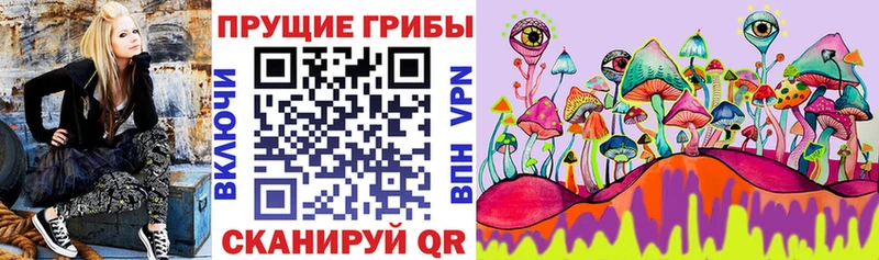 Галлюциногенные грибы MAGIC MUSHROOMS  маркетплейс как зайти  Североуральск  закладка 